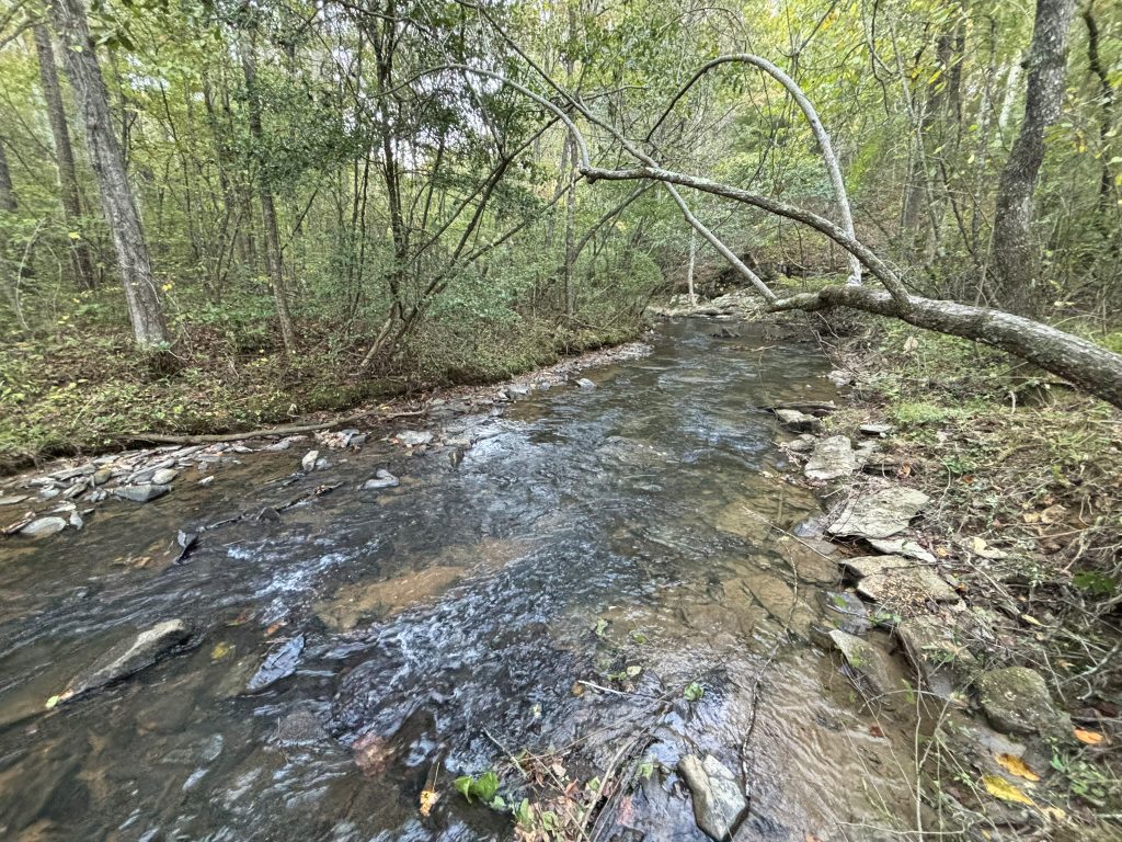 Lot 9 Mt Springer Rd Ellijay GA 27