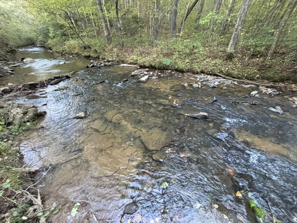 Lot 9 Mt Springer Rd Ellijay GA 28