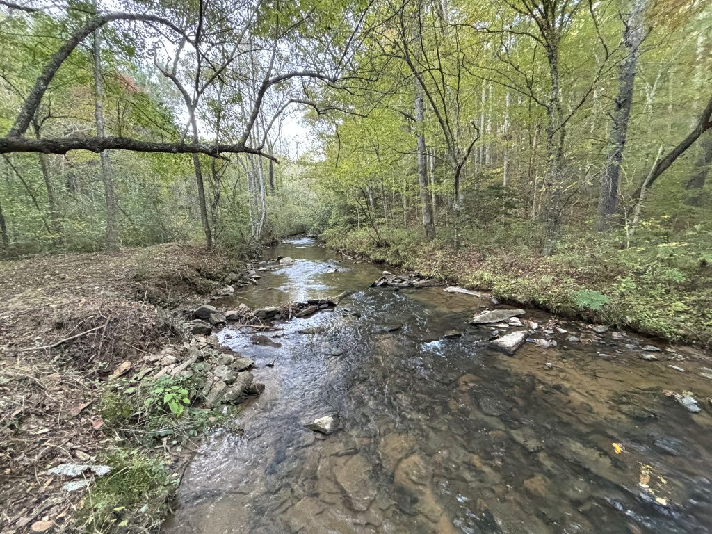 Lot 9 Mt Springer Rd Ellijay GA 29