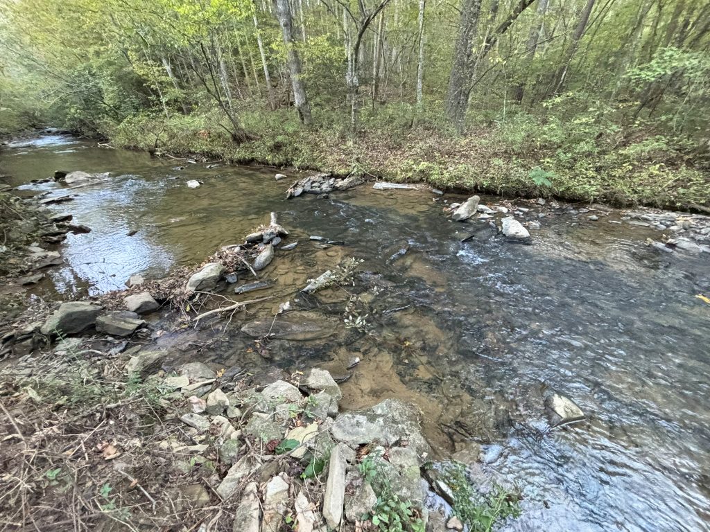 Lot 9 Mt Springer Rd Ellijay GA 30