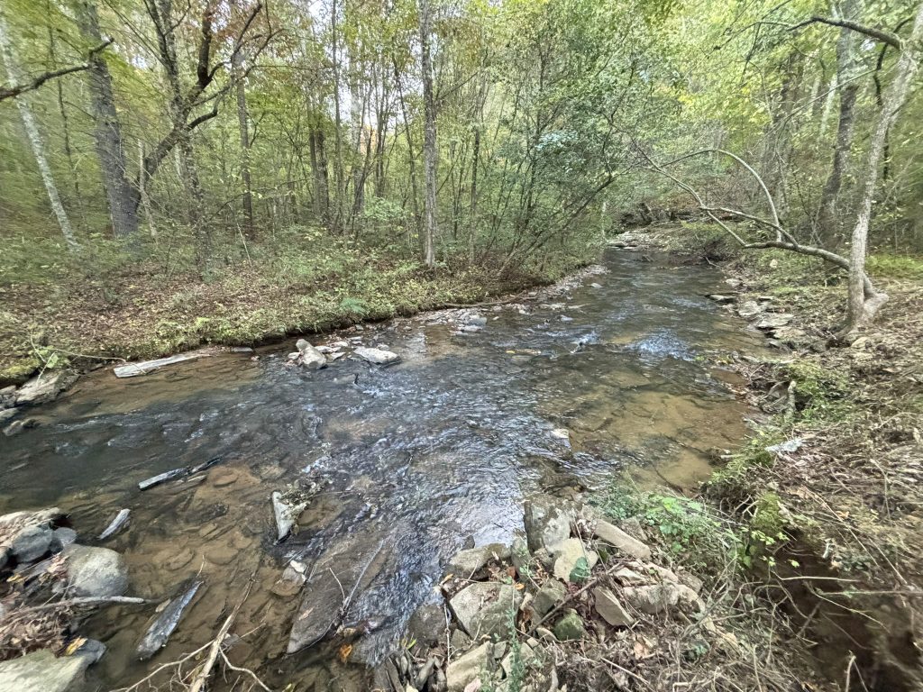 Lot 9 Mt Springer Rd Ellijay GA 31