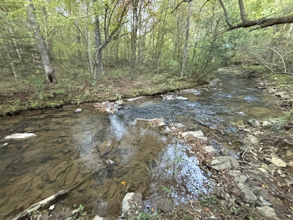 Lot 9 Mt Springer Rd Ellijay GA 33