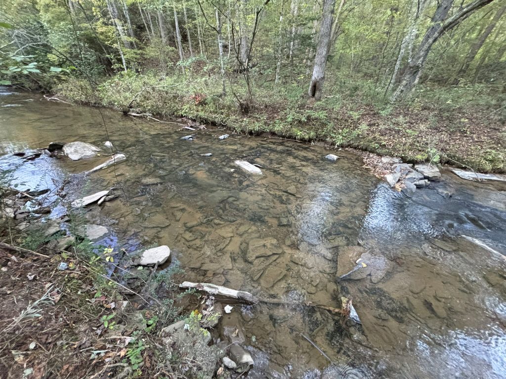 Lot 9 Mt Springer Rd Ellijay GA 34