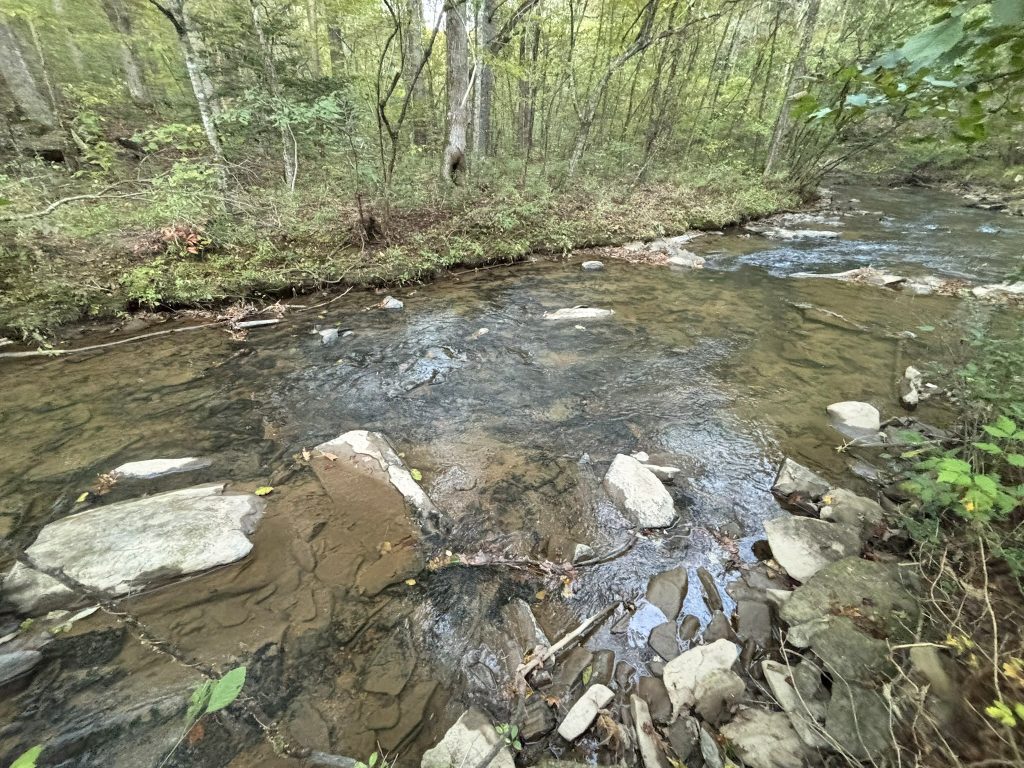 Lot 9 Mt Springer Rd Ellijay GA 35