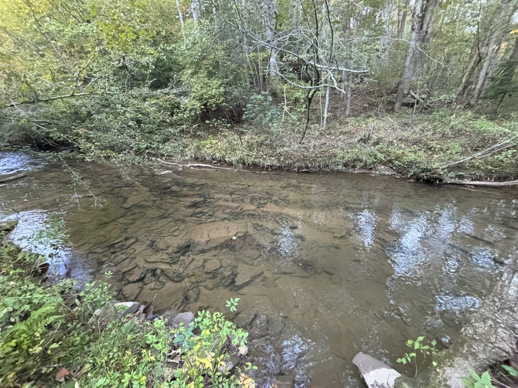Lot 9 Mt Springer Rd Ellijay GA 36
