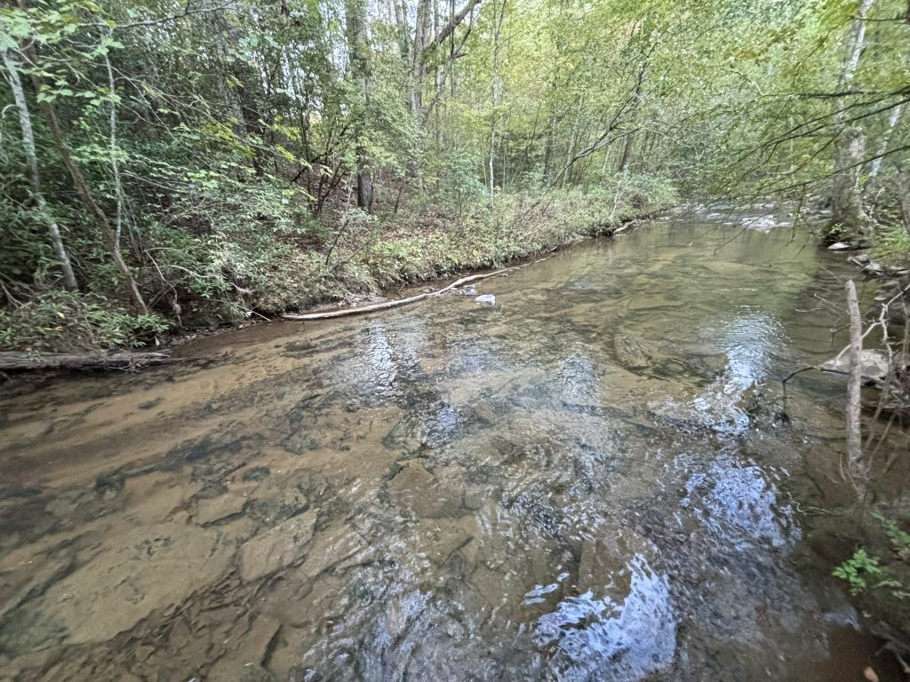 Lot 9 Mt Springer Rd Ellijay GA 37