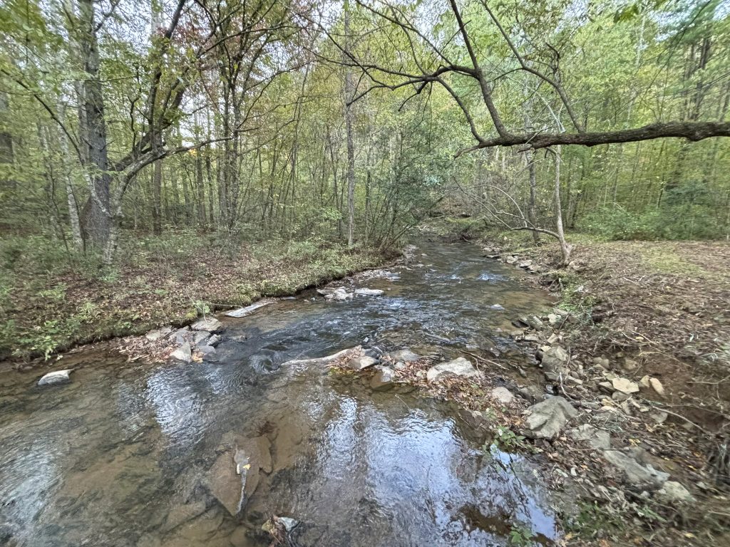 Lot 9 Mt Springer Rd Ellijay GA 49