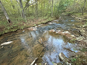 Lot 9 Mt Springer Rd Ellijay GA video thb
