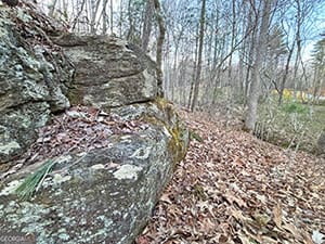 Land For Sale In Mineral Bluff