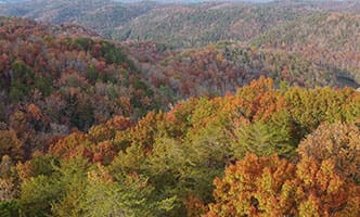 MyriadWay photo gallery thb