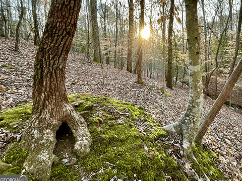 Palmetto Drive photo gallery thb