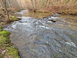 Land for sale in Ellijay GA - LOT 12 McAfee Knob Road 