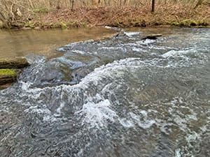 TailsCreek Lot12 video thb